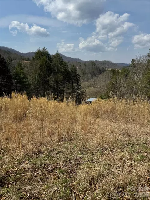 1820 Grapevine Rd, Marshall, NC 28753 photo 31