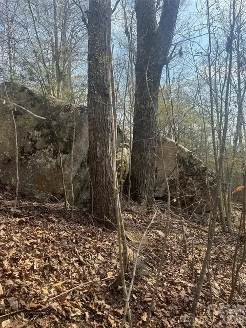 1820 Grapevine Rd, Marshall, NC 28753 photo 24