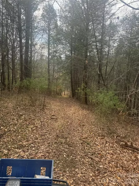 1820 Grapevine Rd, Marshall, NC 28753 photo 18