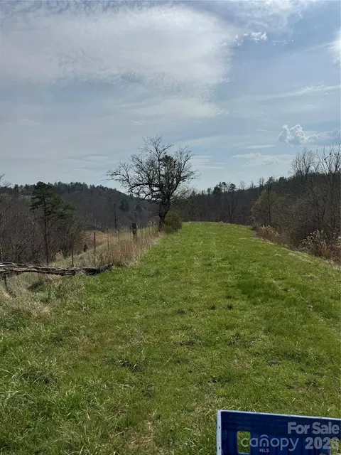 1820 Grapevine Rd, Marshall, NC 28753 photo 35