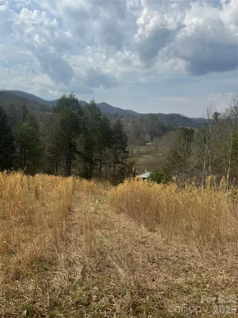 1820 Grapevine Rd, Marshall, NC 28753 photo 13