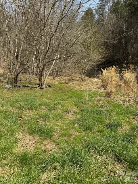 1820 Grapevine Rd, Marshall, NC 28753 photo 40