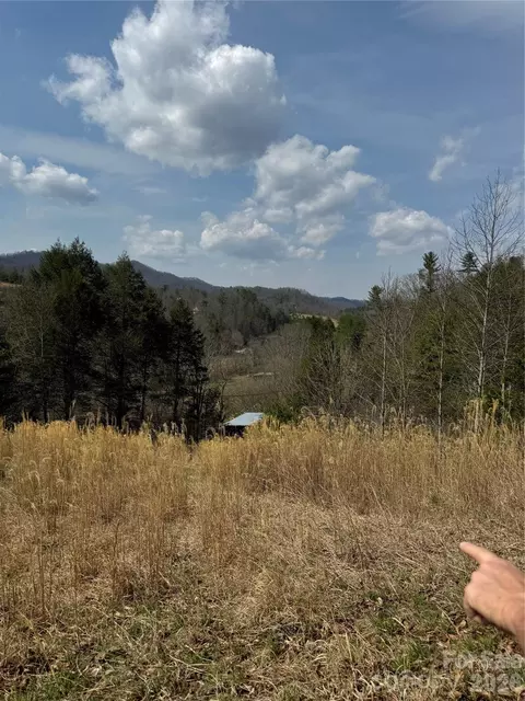 1820 Grapevine Rd, Marshall, NC 28753 photo 32