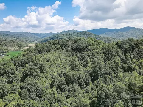 1820 Grapevine Rd, Marshall, NC 28753 photo 8