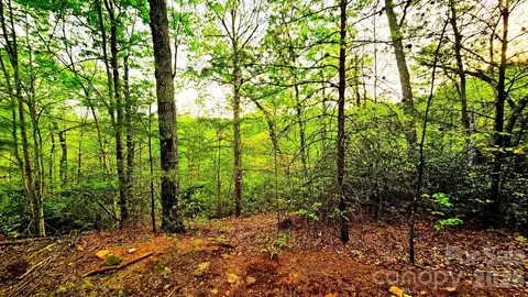 Bear Cliff Way, Lake Lure, NC 28746
