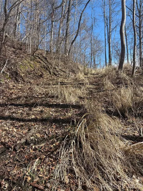 344 Running Deer 71 Ln #71, Mars Hill, NC 28754