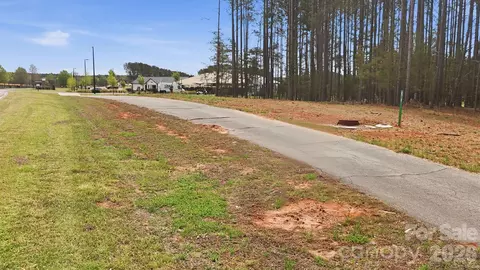 Other - 30132 Turtle Point Ct, Lancaster, SC 29720 photo 16 of 17