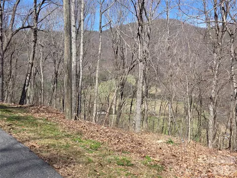 820 Chestnut Flats 4 Ln #4, Waynesville, NC 28786