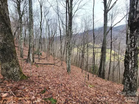 820 Chestnut Flats 4 Ln #4, Waynesville, NC 28786