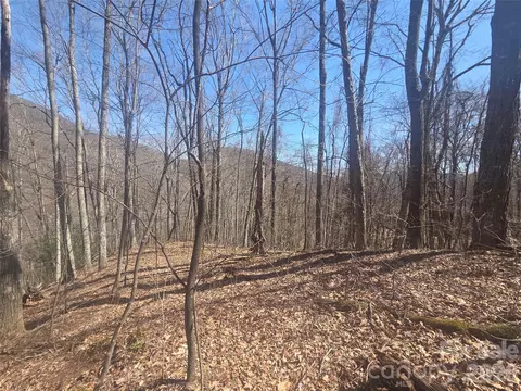 820 Chestnut Flats 4 Ln #4, Waynesville, NC 28786