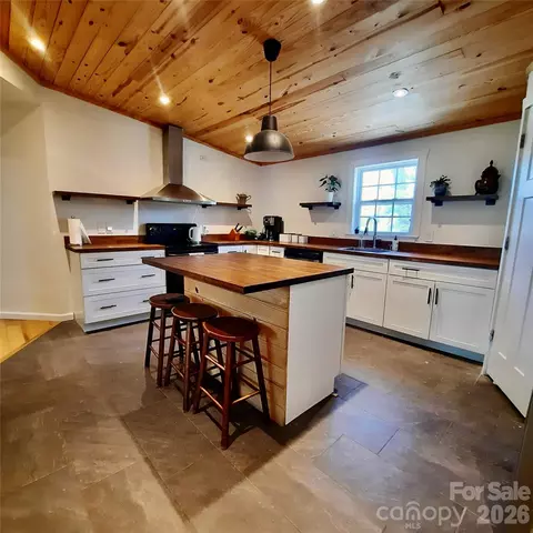 119 Grant Ln, Saluda, NC 28773