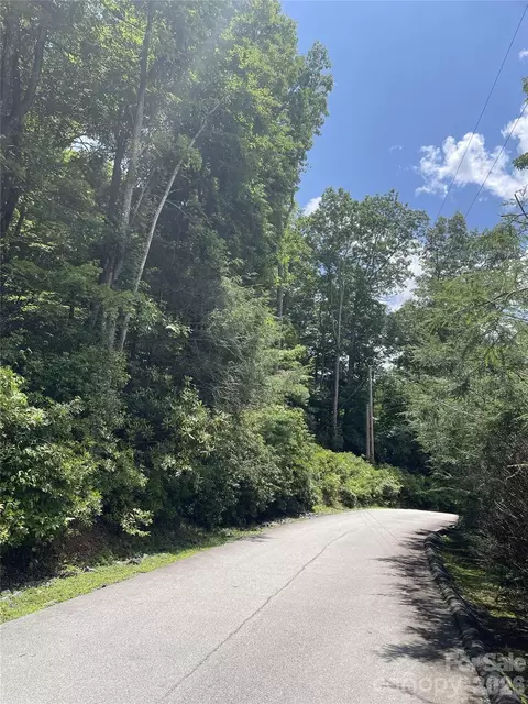 00 Winterstar 17 Loop #17, Burnsville, NC 28714