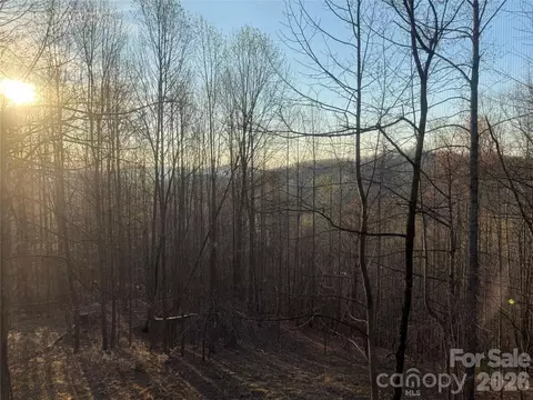 Other - 476 Double Eagle Dr, Nebo, NC 28761 photo 3 of 14