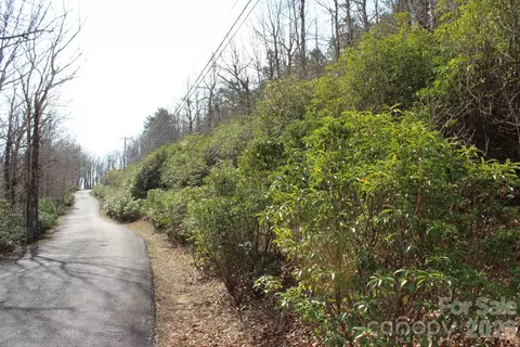 Sunset Ridge 9 Drive #9, Columbus, NC 28722