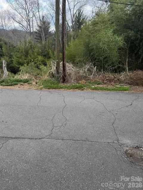 38 Belleair Rd, Asheville, NC 28806