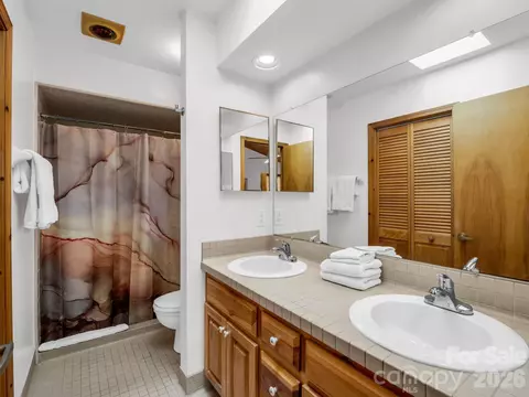 Bath - 780 Rixhaven Dr, Saluda, NC 28773 photo 1 of 2