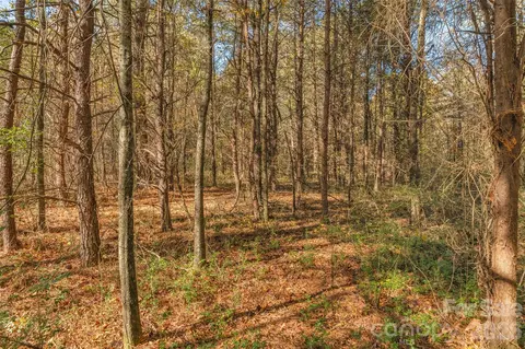 0000 Bud Davis 9 Rd #9, Vale, NC 28168 photo 16