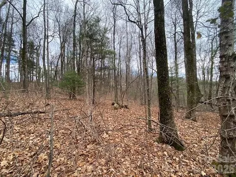 395 W Chestnut Ridges 14 Rd #14, Hendersonville, NC 28739