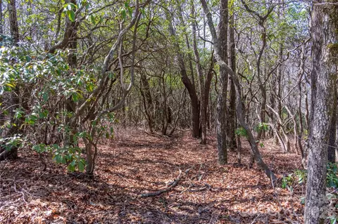 Lakeside Drive, Lake Toxaway, NC 28747