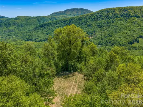 Other - 488 Warbler Ln, Black Mountain, NC 28711 photo 2 of 11
