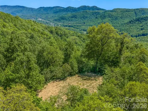 Other - 488 Warbler Ln, Black Mountain, NC 28711 photo 8 of 11