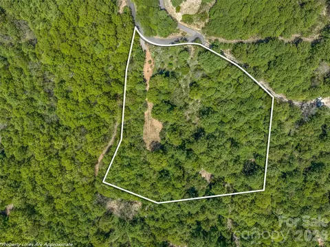 Other - 488 Warbler Ln, Black Mountain, NC 28711 photo 11 of 11