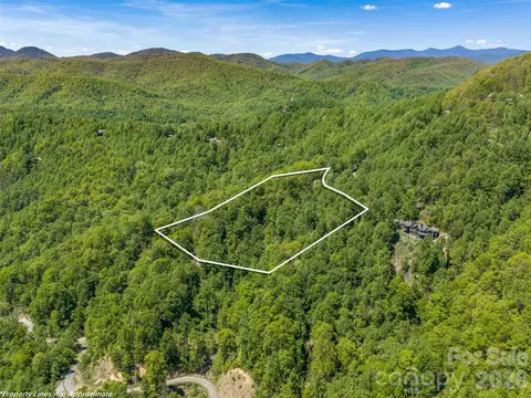 Other - 488 Warbler Ln, Black Mountain, NC 28711 photo 1 of 11