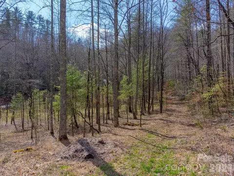 47 52 Ac Little Snowbird Rd, Robbinsville, NC 28771