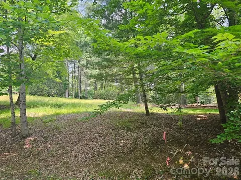 A3 Allison Creek Trail #A3, Brevard, NC 28712