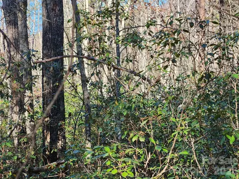 Whitney Boulevard, Lake Lure, NC 28746