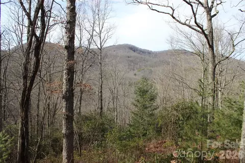 Waterdance Drive, Tuckasegee, NC 28783
