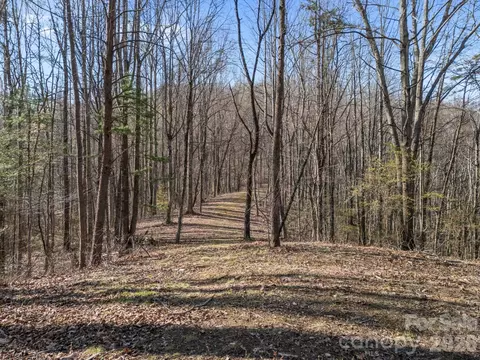 9999 Hidden Cove Rd, Leicester, NC 28748