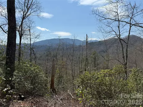 128 Mamies Way, Robbinsville, NC 28771