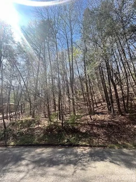 51 Fairway Drive #51, Lake Lure, NC 28746