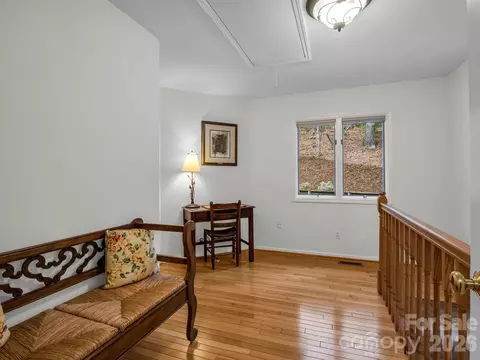 Other - 197 Thomas A Edison Rd, Lake Lure, NC 28746 photo 5 of 9