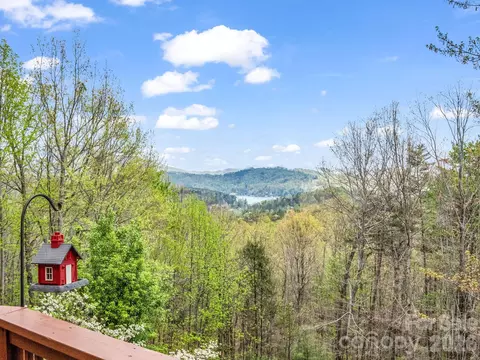 View/Area - 197 Thomas A Edison Rd, Lake Lure, NC 28746 photo 1 of 1