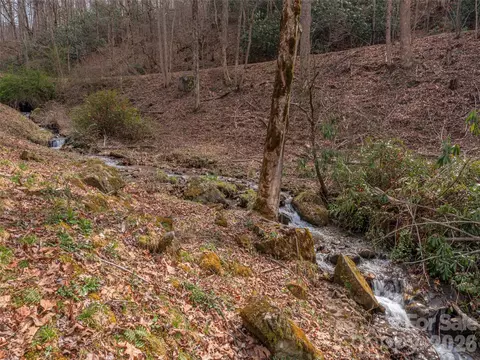 Other - 897 Dark Ridge Rd, Sylva, NC 28779 photo 4 of 11