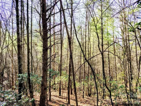 Tahoe Trail, Collettsville, NC 28611