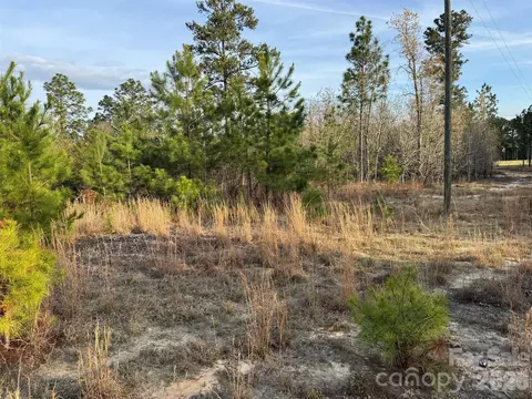 00 Mcqueen Rd, Patrick, SC 29584 photo 19