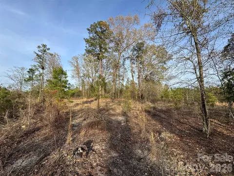 00 Mcqueen Rd, Patrick, SC 29584 photo 16