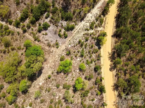 00 Mcqueen Rd, Patrick, SC 29584 photo 5