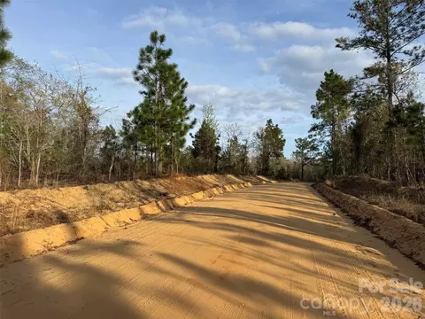 00 Mcqueen Rd, Patrick, SC 29584 photo 15