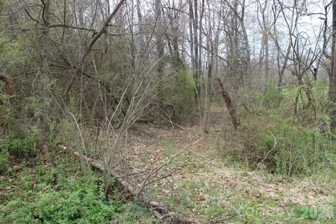 0 Vashti Rd, Hiddenite, NC 28636 photo 22