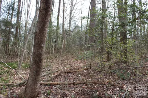 0 Vashti Rd, Hiddenite, NC 28636 photo 30