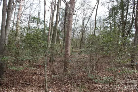0 Vashti Rd, Hiddenite, NC 28636 photo 35
