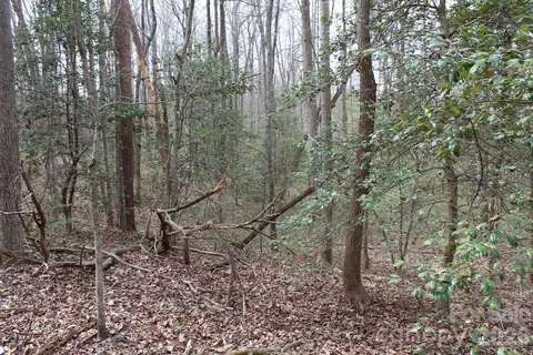 0 Vashti Rd, Hiddenite, NC 28636 photo 34