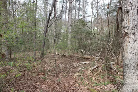 0 Vashti Rd, Hiddenite, NC 28636 photo 38