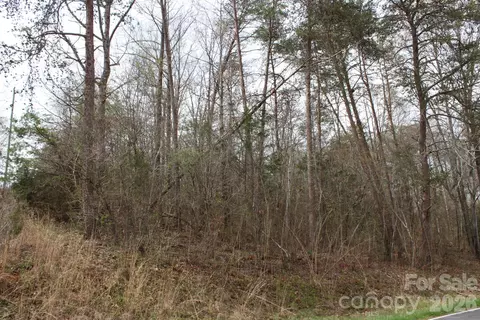 0 Vashti Rd, Hiddenite, NC 28636 photo 18