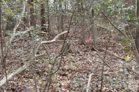 0 Vashti Rd, Hiddenite, NC 28636 photo 32