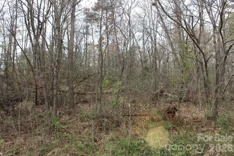 0 Vashti Rd, Hiddenite, NC 28636 photo 21